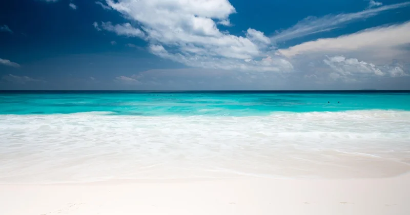 Nature sauvage et préservée : les Seychelles
