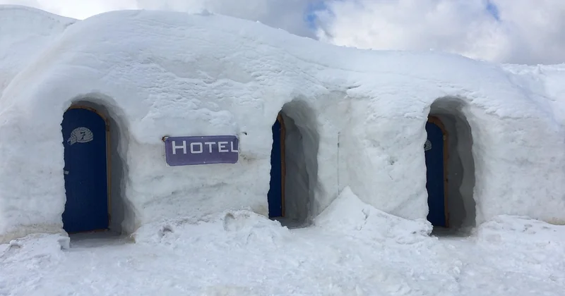 Combien ça coûte vraiment ? Et comment payer moins cher