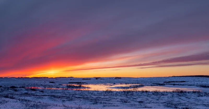 Canada et Alaska : la nature brute, sans filet de sécurité