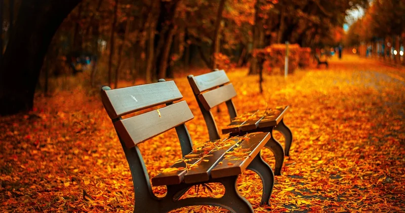 Quelle est la meilleure saison pour visiter un parc national ?