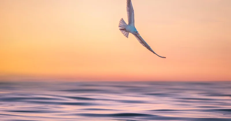 Un impact écologique qui compte vraiment