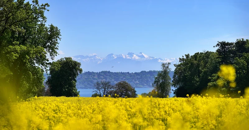Le Tour du Mont-Blanc : une boucle transfrontalière grandiose