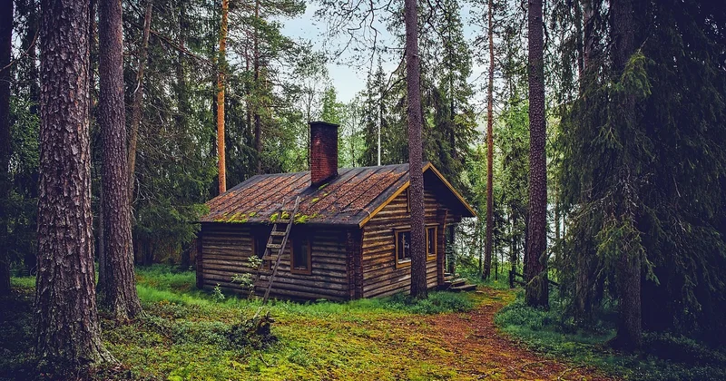 Les cabanes dans les arbres en Île-de-France et Hauts-de-France